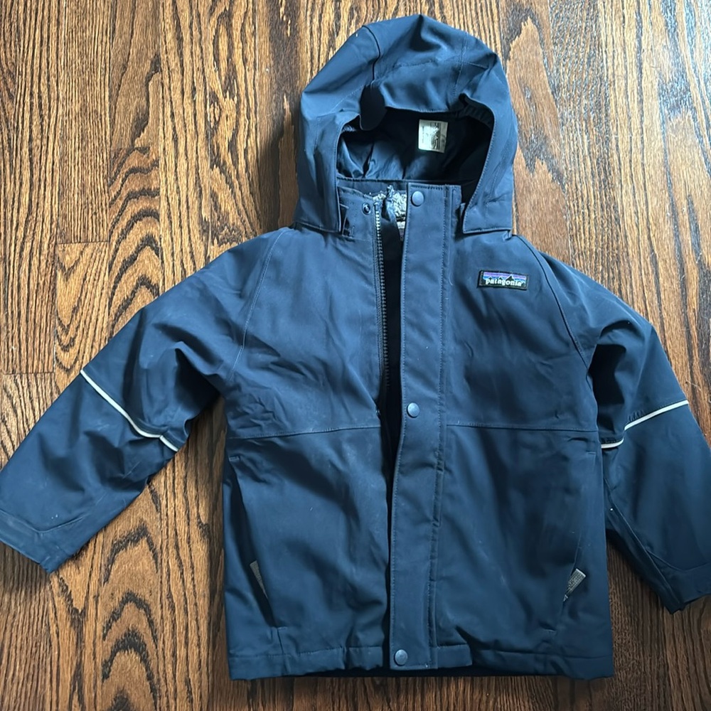 Patagonia jacket with detachable fleece lining